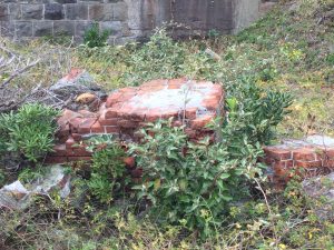 51435806-72E5-4F31-B9C3-14EE89D9F0A5