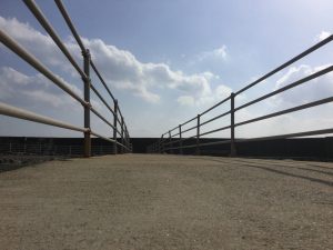 8646F08C-D4DC-4BDB-8629-3FA68BBB8746