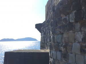 9931885A-BA53-4D6C-B31C-A1035696E424