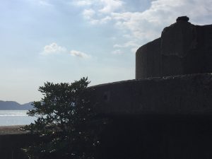 A18E410B-7E97-44CB-9680-129E31CBD707