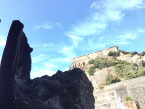 BF3FA9E8-34F2-46C7-8D81-41182D7BE6DC