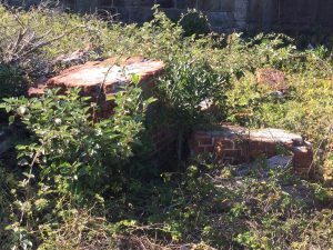 CBFF6F90-CE2D-41EF-8D34-EFC2A5FF070F