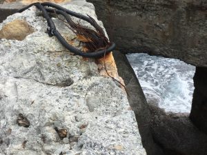 D3808BB7-C0CE-47B8-985D-EF1880884471