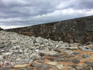 E65FB7C9-6E43-43D4-8478-186D321AD123