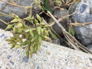 F05C910F-C19D-4859-A89E-EC8EB4E2F687