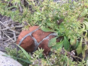 F94A24A4-020D-4B30-A944-EB1724447BD4