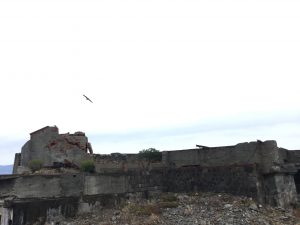 0C4A4F3B-1A95-4B98-BCB6-64F35E09CF61