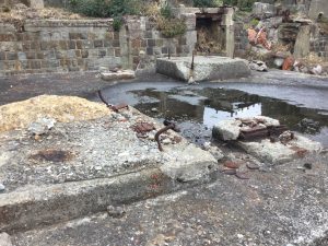 6E421063-AA12-4B6C-8486-DEABDB1D216E