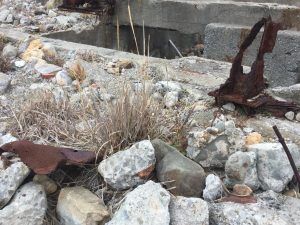 6F26524C-56E4-471C-923D-D1656275F0F5