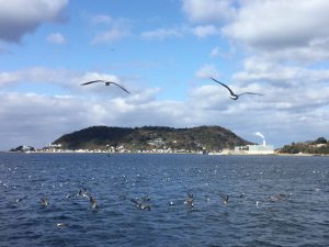 843A38C0-C619-412B-8976-B6E8419D3275