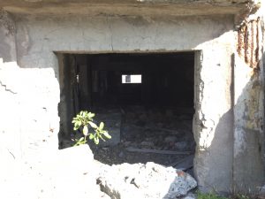 BD3961AC-6A84-4610-BD12-C699C6DC5DA6