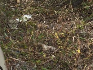 C1A06830-D2ED-418A-A58E-1FF5506E6168