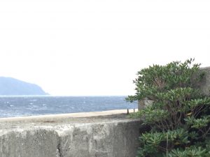 C36D89B2-7254-468A-BFD6-3939344BBC70