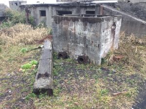 DB1B86EF-988D-427F-B598-92EF6C072524