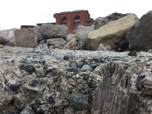 1CC4F787-DFDE-4851-A0F2-CB773AABC8F0