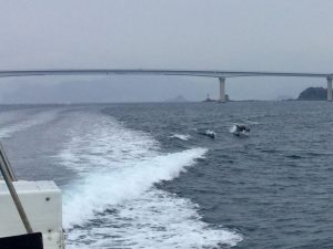 272566DA-6BFE-45F9-8BA9-F3446C3D7F6E