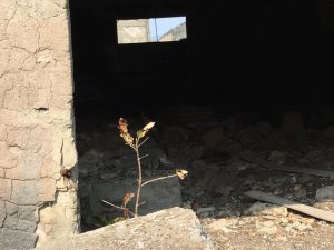 5072D0EC-25E5-41DA-8AB0-6426BA02D722