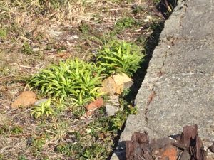 69608ED1-3AE1-4E1A-AF9D-BD3A35AD1B4D