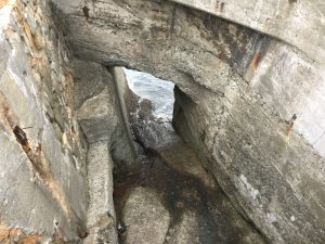 78D18E75-C536-4F24-BEB3-42D3D0DDF381