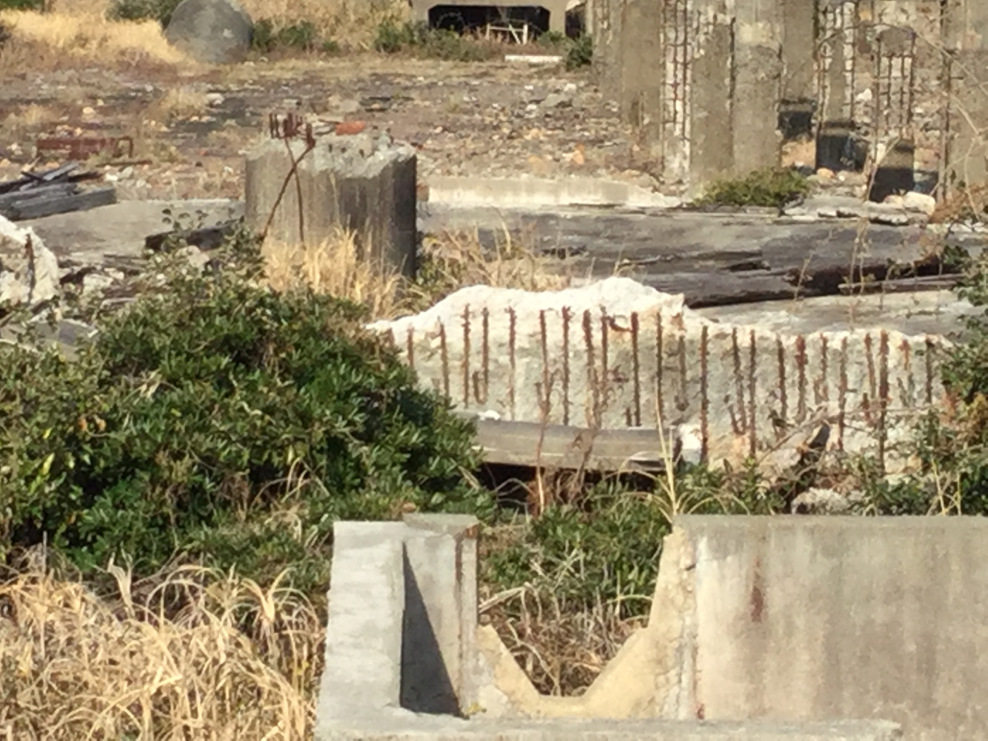 84AB56EB-BEC5-432F-AAF8-DB4E867F36F1