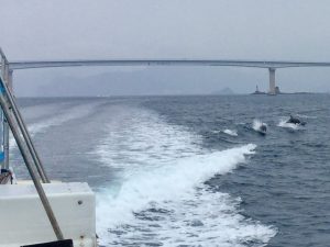 B599A940-BA89-42CC-B432-B2F376F5776C