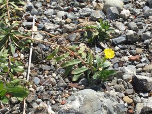 C7212E80-02EC-4402-B075-1E478622E2C6