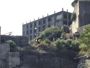 C77CD373-2E72-4EFE-8807-448D8241BFA7