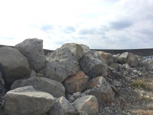 D11B9E29-0A05-4D60-9411-75FC48F0A9B2