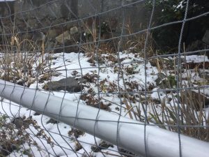 D8B0E66B-BFC7-4CFA-B77D-F3F7FFE8198F