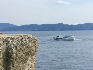 E1956A8A-E854-4F55-B79B-49ECF9D4DE98