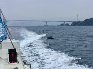 F27E50AB-F28D-4055-8FF5-EC68464FCA47