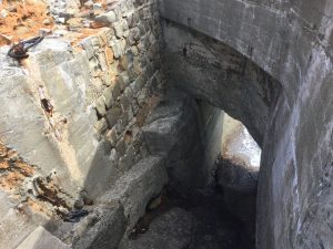 285E73CF-B1FF-4181-A762-27F5C15CDC9A