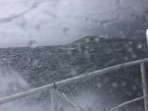 71609D8D-5CE8-40B6-886F-284B309E32CB