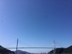 79531D9F-C317-4043-9C3C-D28FE9477F0A