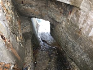 ABCEFCEE-1C13-481E-AAC2-05B81F74BEDB