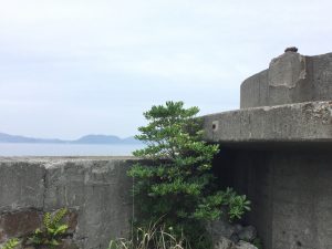 A7FF3379-CD7D-47CF-B300-DB3FE9EB25B8