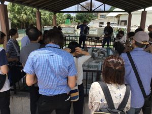 01D8A348-2BFA-42E3-8382-214E72958A30