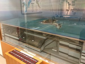 1DF1DC4A-46B2-422E-A302-4C6415C3DE79