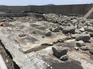 731EC382-4034-487C-8DA3-3B3A407248CC