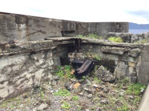 8A9DBA63-28C9-4789-86A3-65B40C8CE998