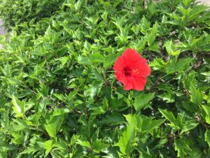 8E485114-B5C7-489C-AA6E-9DF3C02B24B9