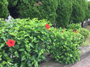 19E377B7-DCD4-468B-A5D3-6B1B1836B764