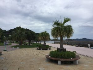 1BC728E2-129D-4B0F-A875-D7Cttf。DC3180DD3