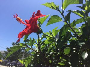 995A7BDE-54FB-41D0-A70F-3192661CFC1E