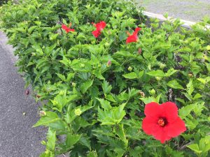 EC338E39-0BD4-4530-8165-6964924E7AB4