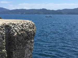 2D402229-3BFD-4EAD-8C97-21BBD8F75478