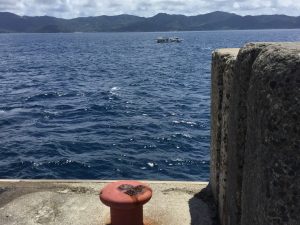 385C3B62-8358-4D70-9E64-AE99AF092AE9