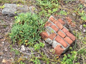 5770C680-9480-445E-90F3-C8D3252E946E