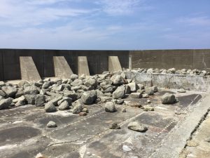 167B8B18-5971-4F80-B28C-B2AE3BAEA742