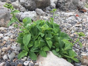 1AF7E716-949A-4EDE-8E87-9AED4A8E0FB4